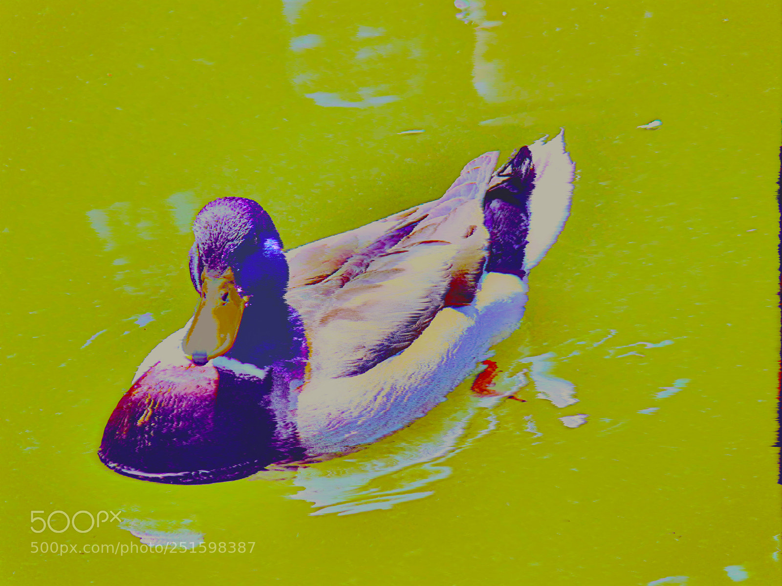 Panasonic Lumix DMC-FZ28 sample photo. Germano reale photography