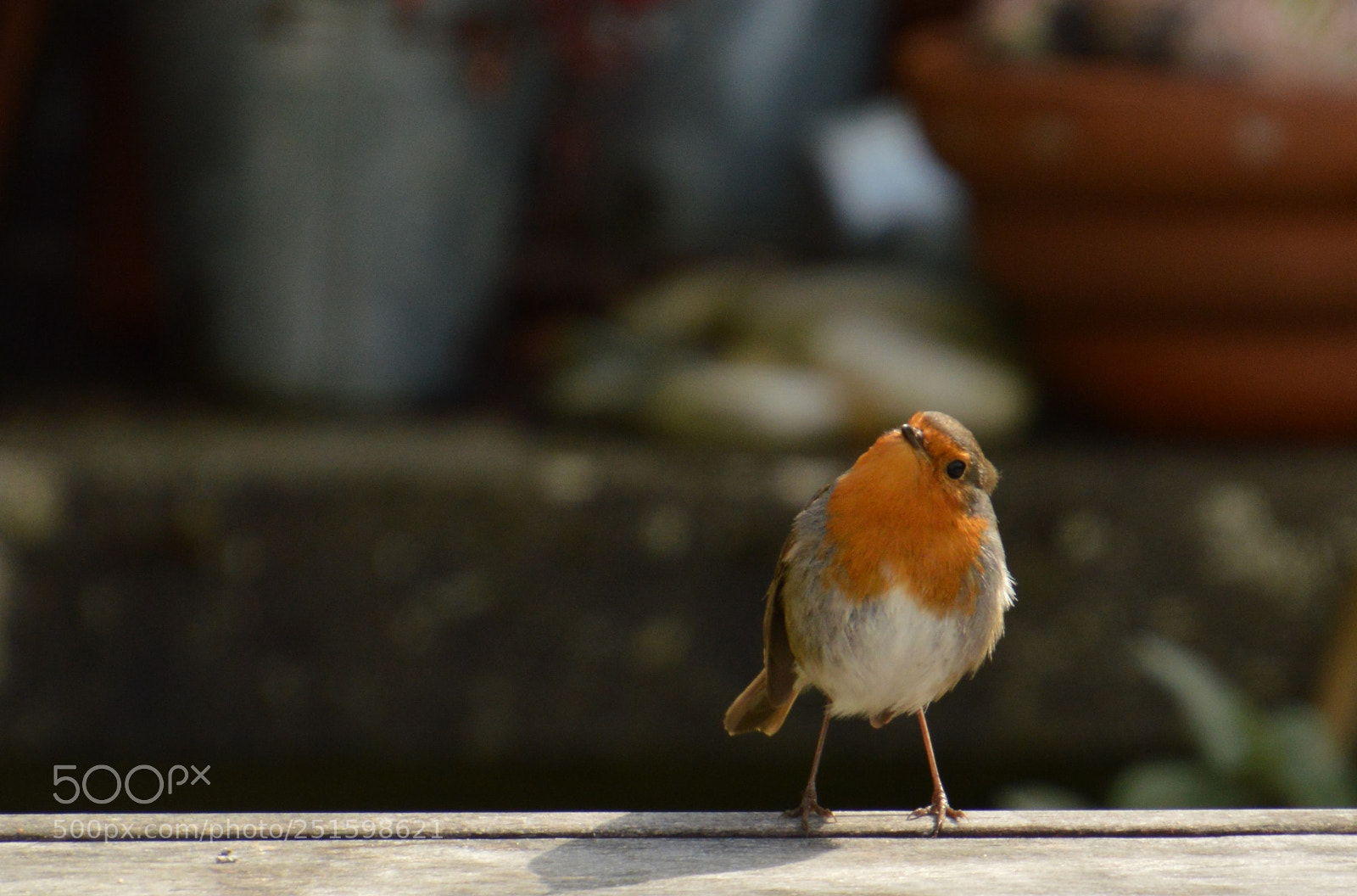 Nikon D3200 sample photo. Et ce profil ....? photography