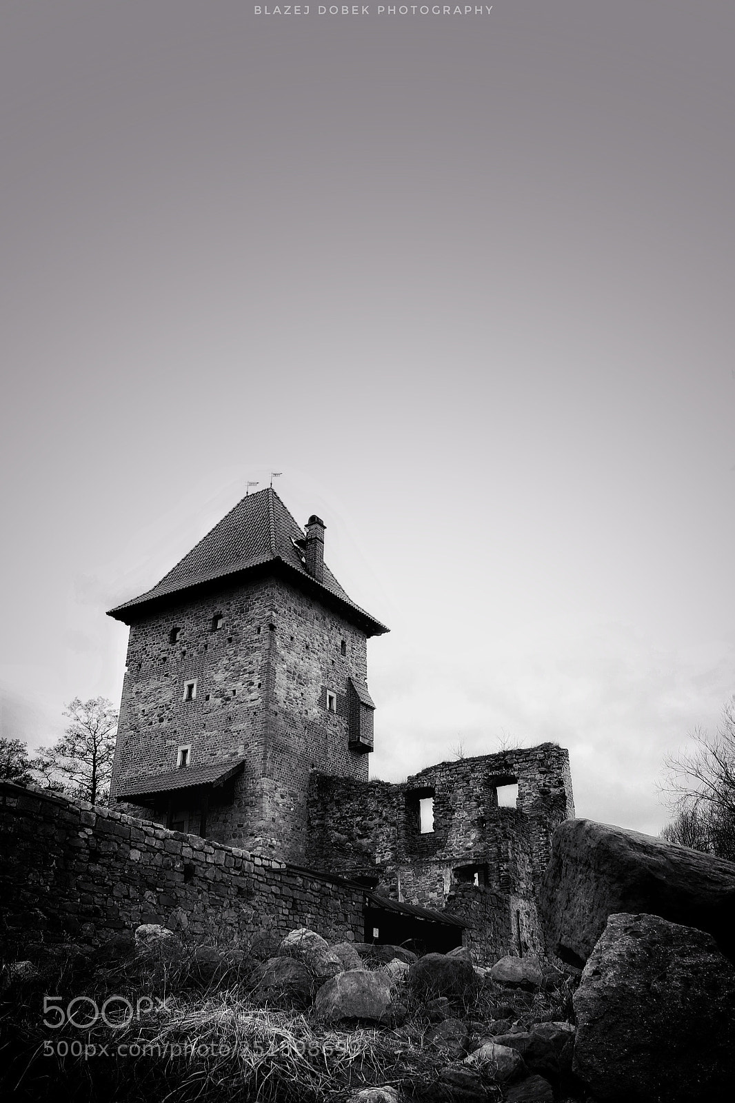 Canon EOS 1200D (EOS Rebel T5 / EOS Kiss X70 / EOS Hi) sample photo. Chudow castle photography