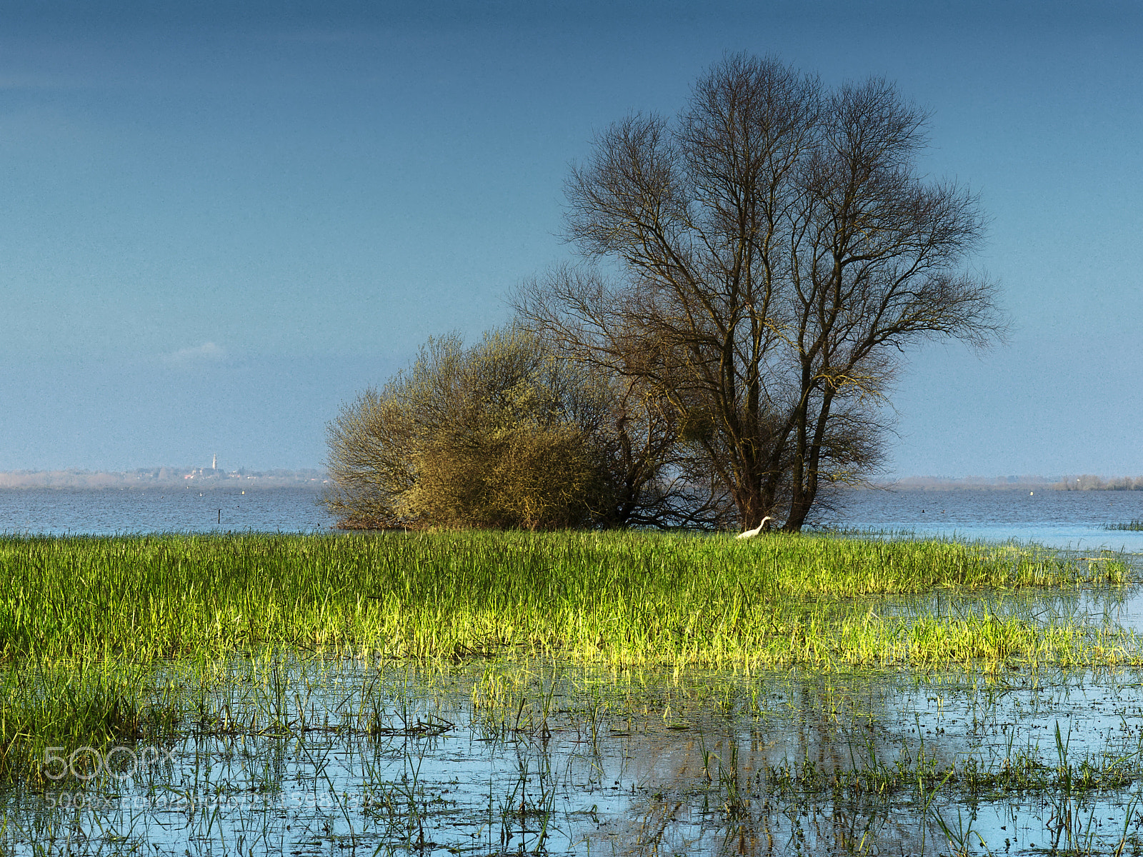 Nikon D90 sample photo. Grand lieu lake photography