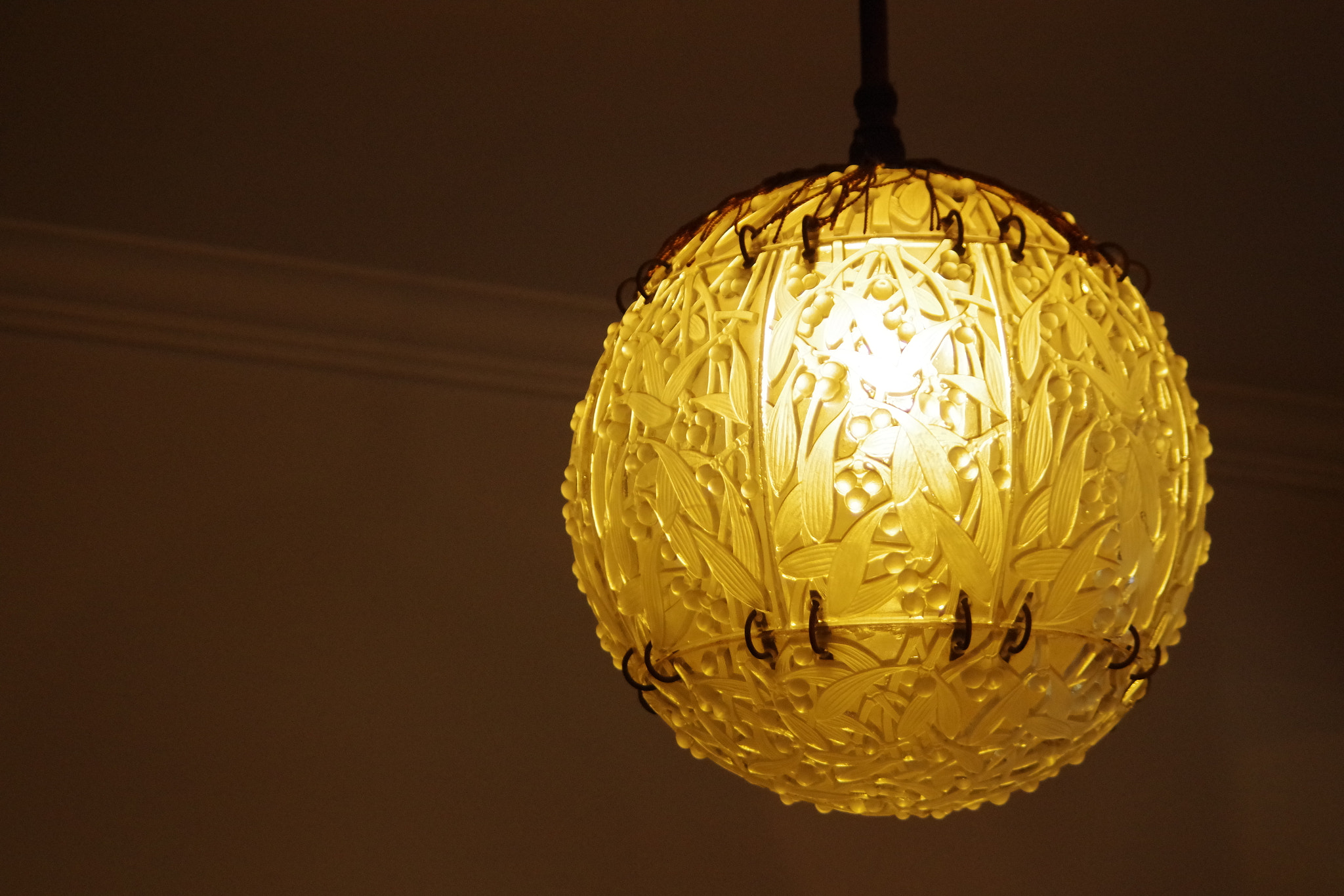 smc PENTAX-DA L 55-300mm F4-5.8 ED sample photo. Lighting up your room. photography