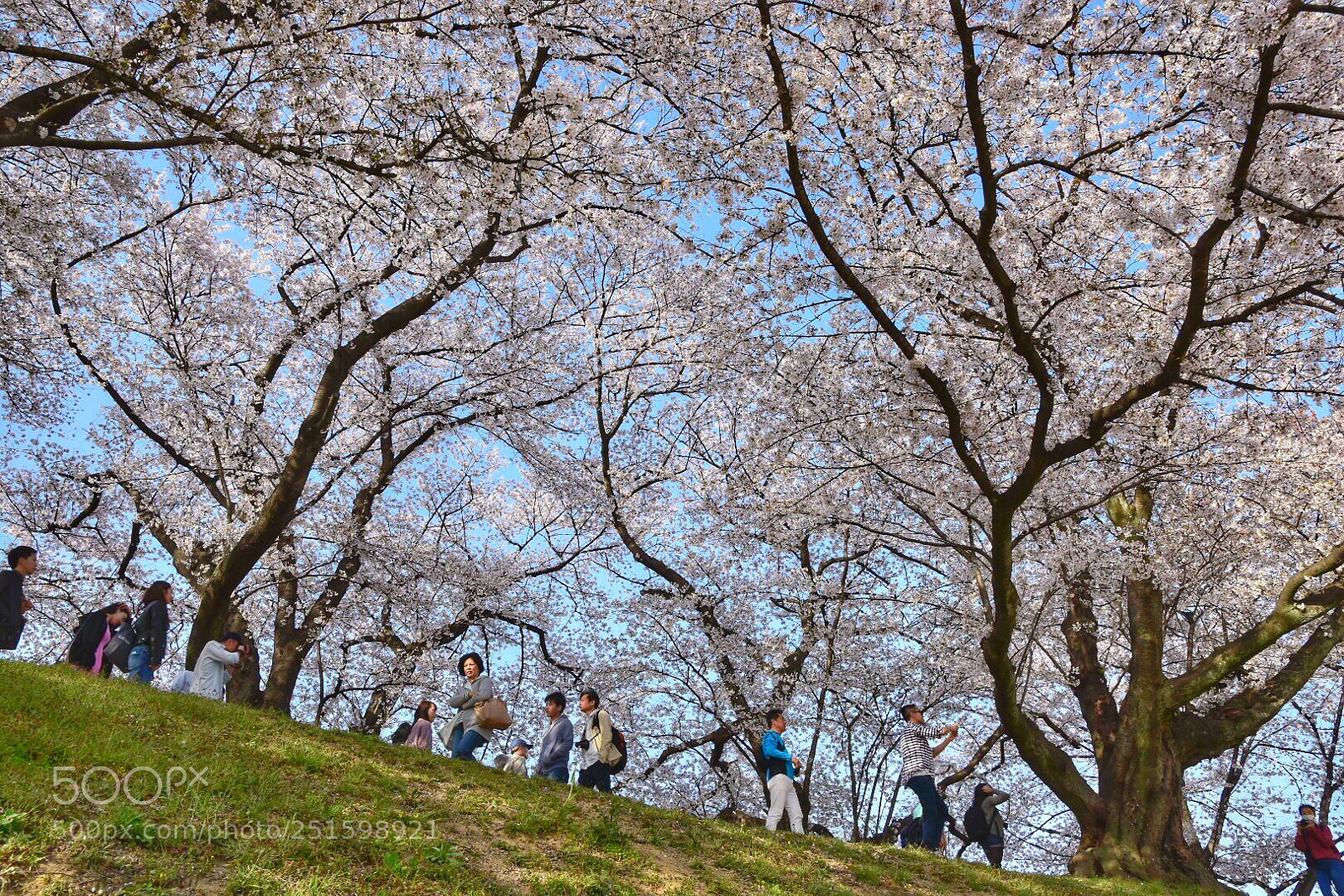 Nikon D7200 sample photo. Untitled photography