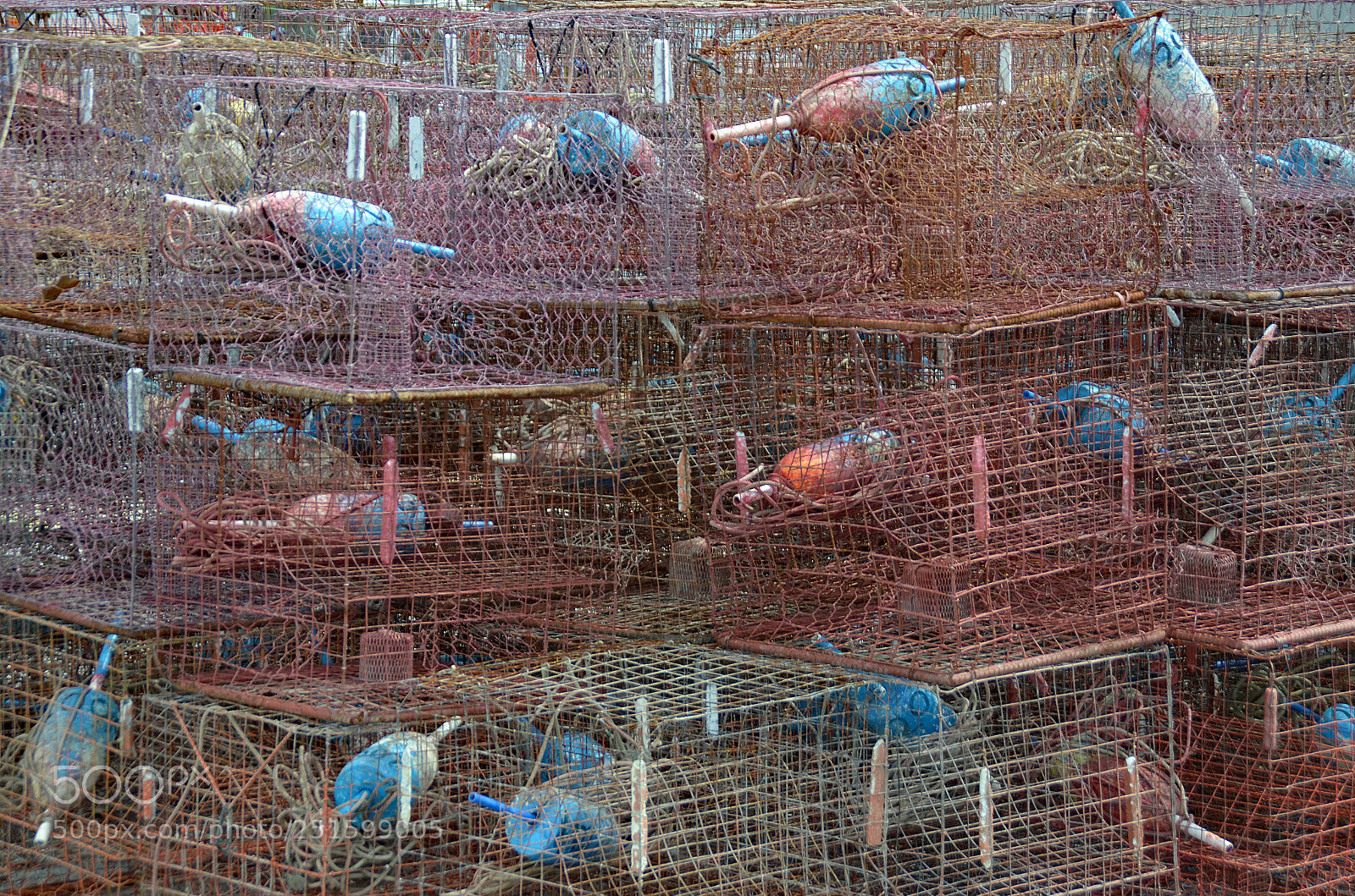 Nikon D5100 sample photo. Crab pots photography
