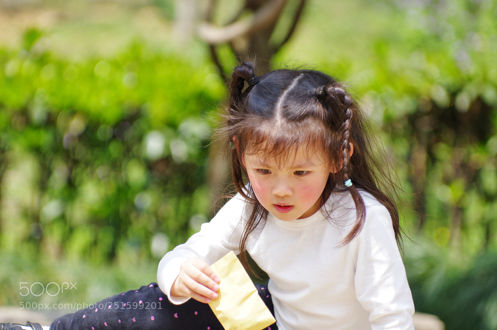 Pentax K-3 II sample photo. Untitled photography