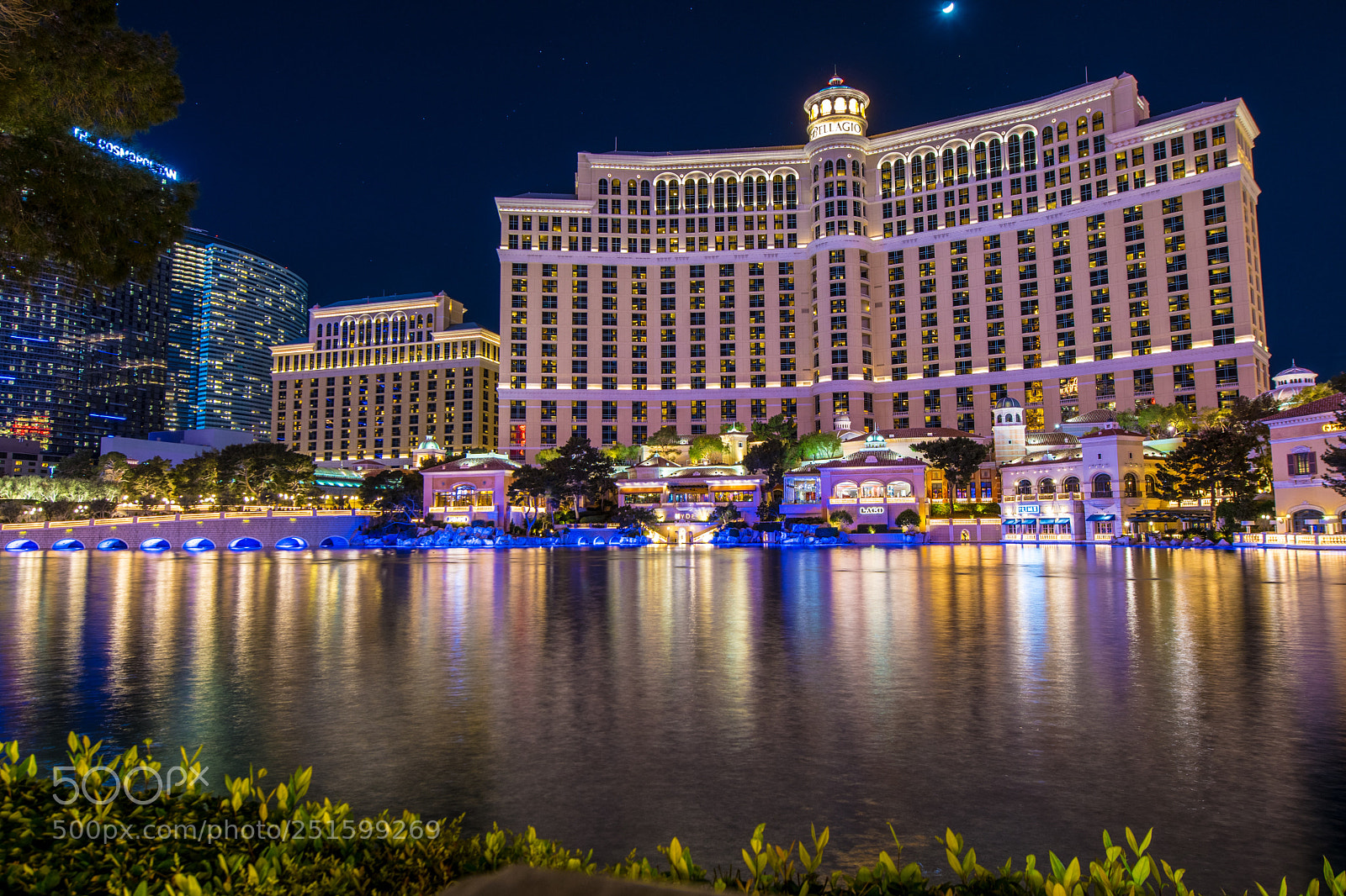 Nikon D500 sample photo. Bellagio hotel las vegas 2018 photography
