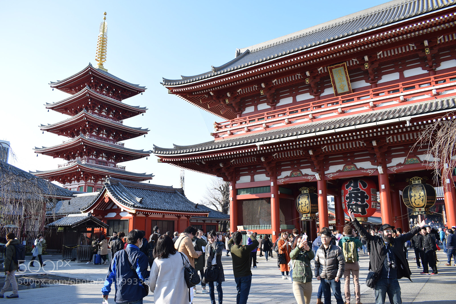 Nikon D5300 sample photo. Japan! photography
