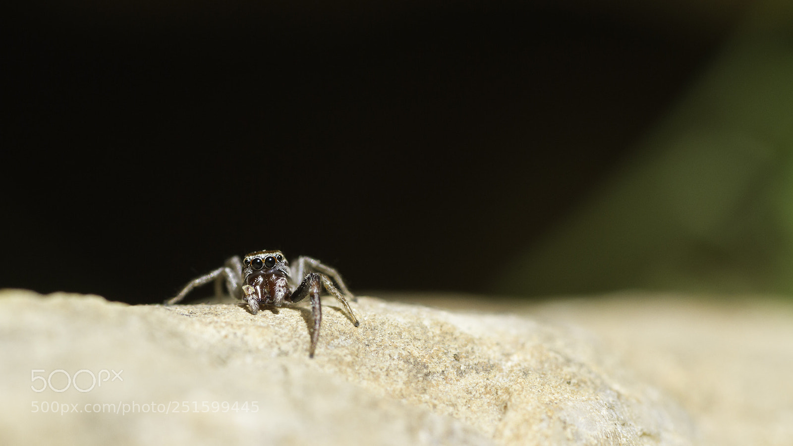 Canon EOS 7D sample photo. Mg photography