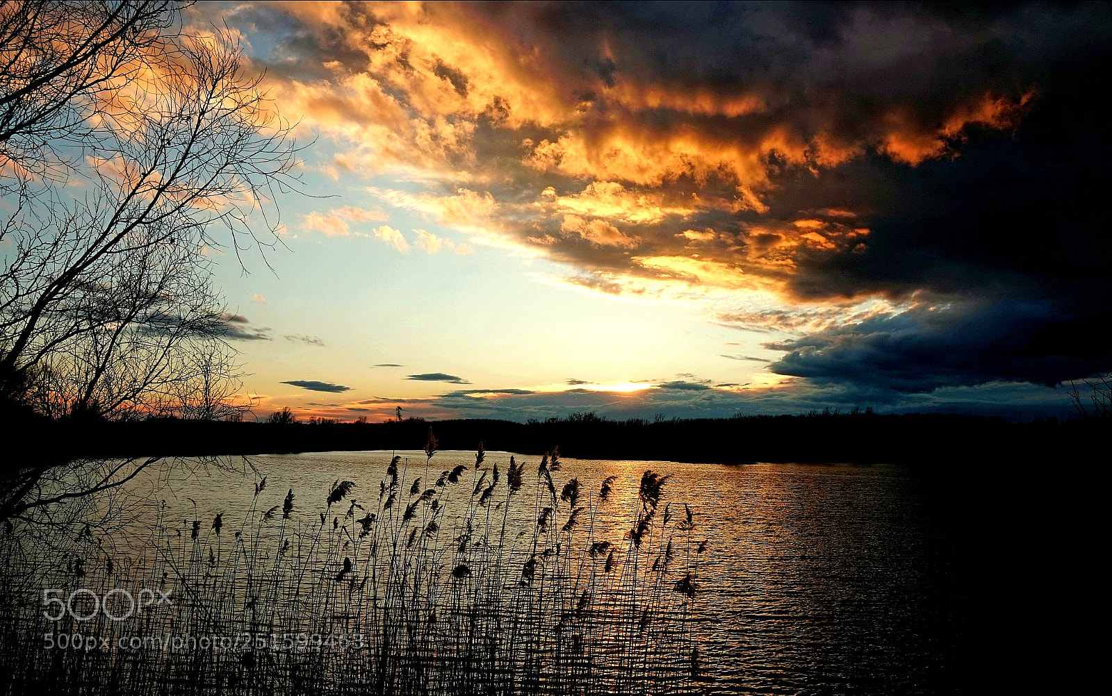 Sony Alpha a5000 (ILCE 5000) sample photo. Once upon a time photography