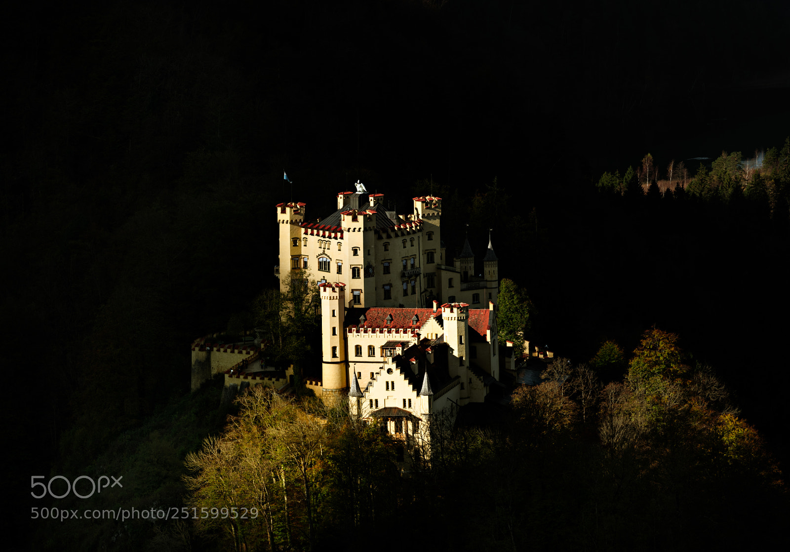 Nikon D810 sample photo. Hohenschwangau castle photography
