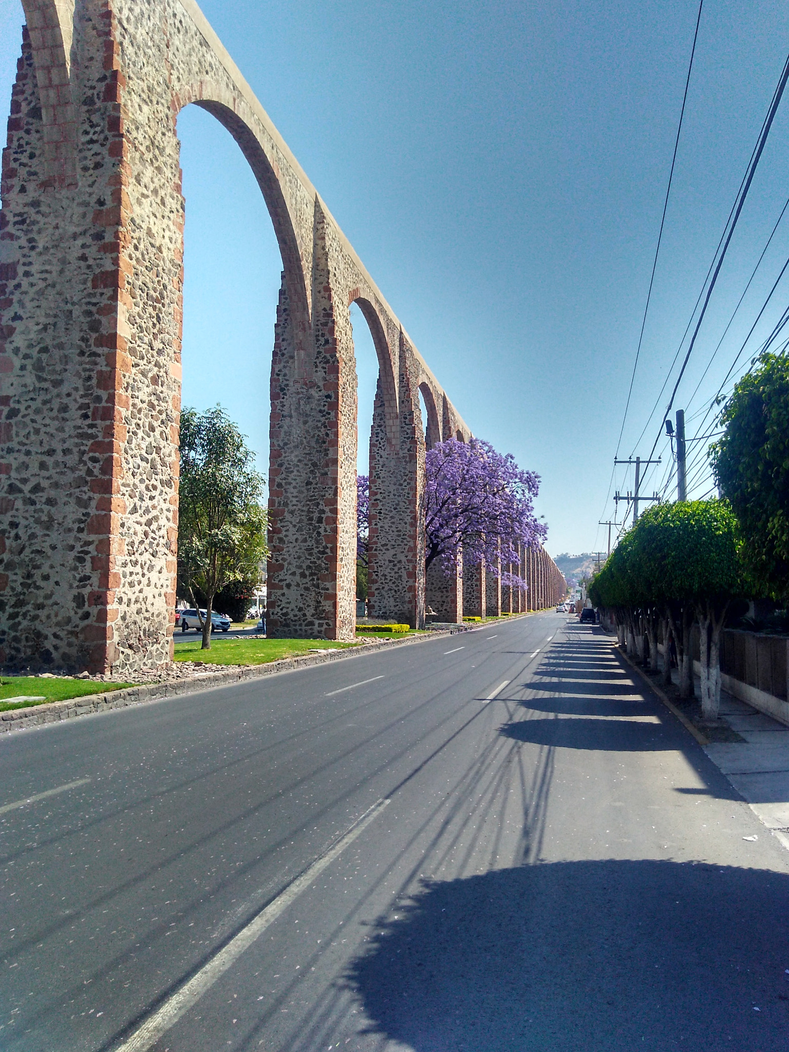 Motorola Moto G Play sample photo