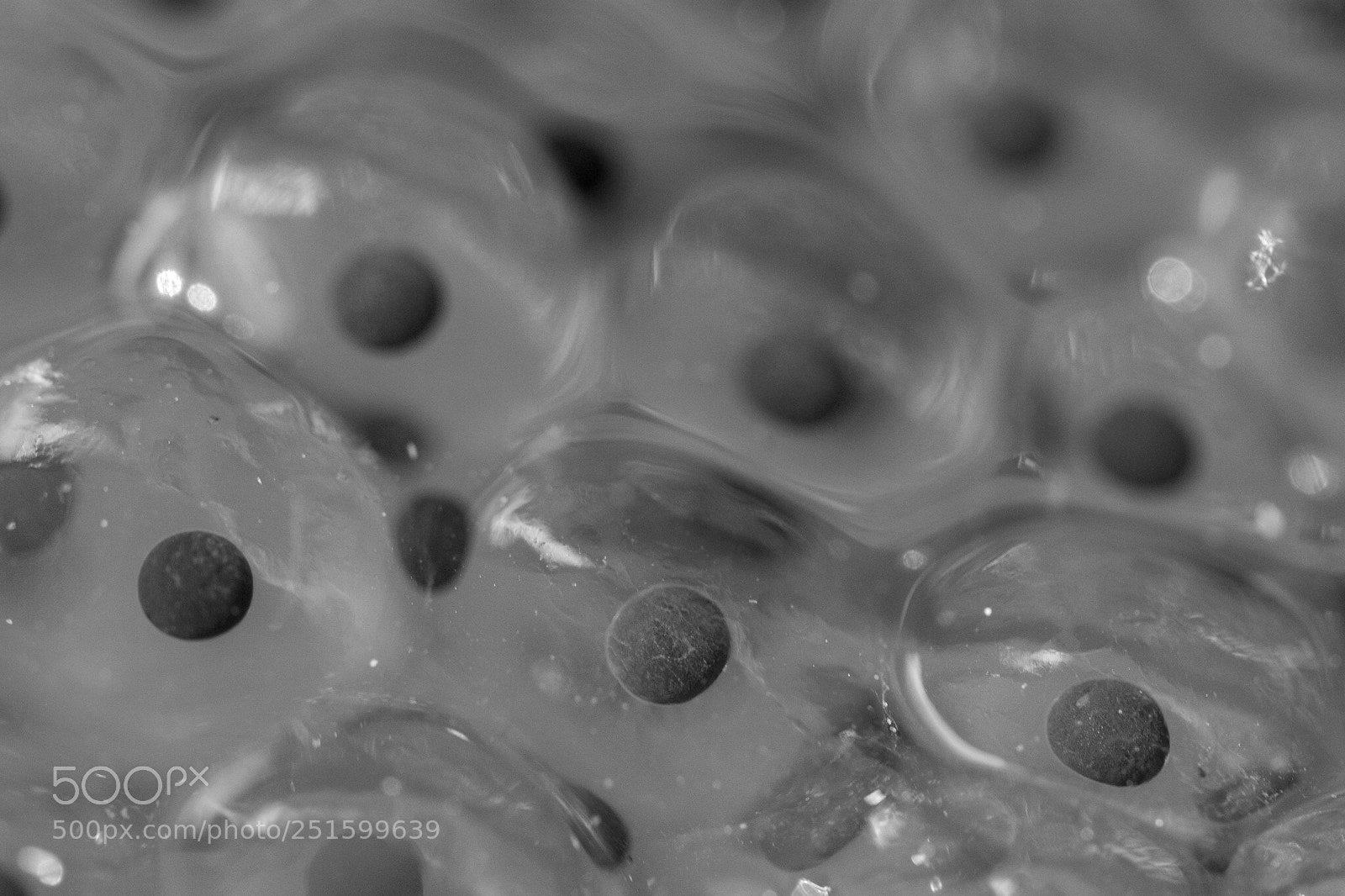 Nikon D7200 sample photo. Celebrate life photography