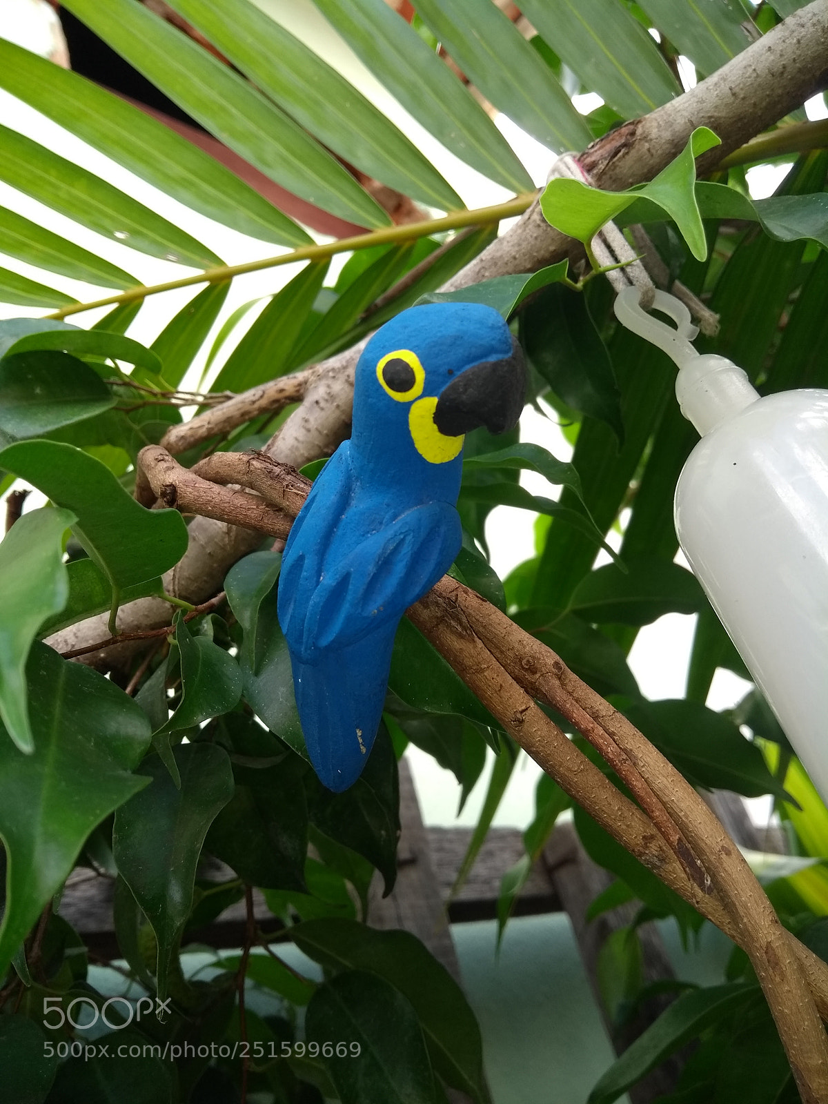 Motorola Moto G (5th Gen) sample photo. Untitled photography