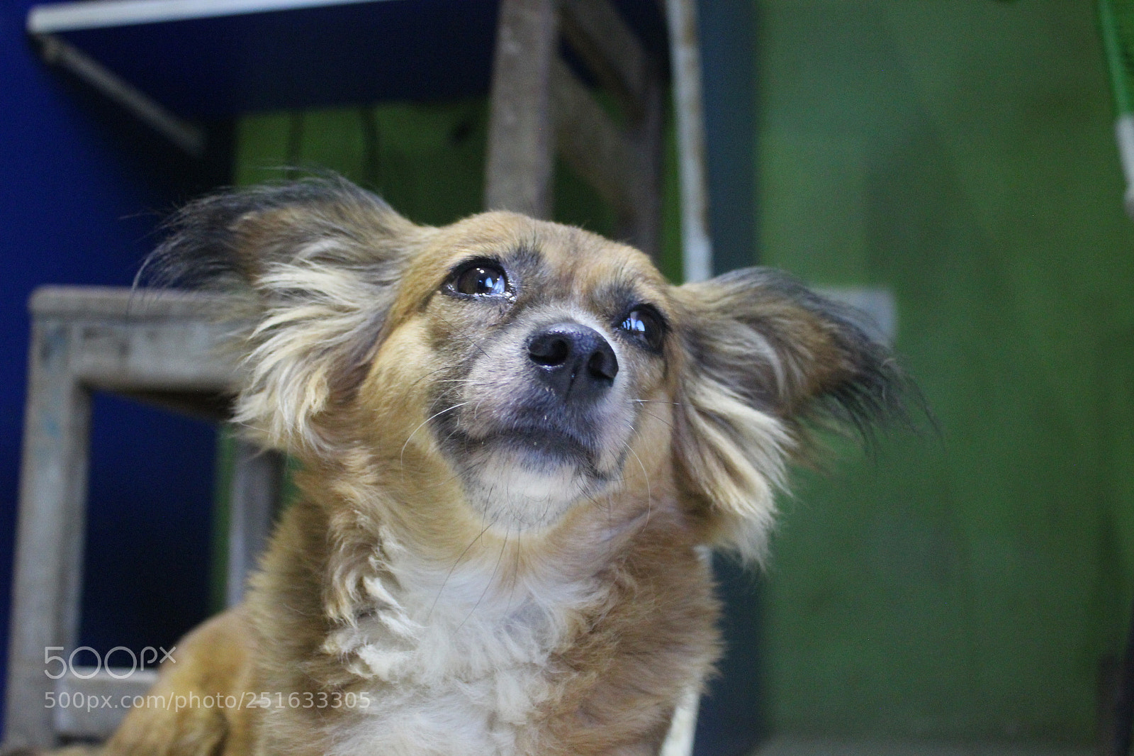 Canon EOS 600D (Rebel EOS T3i / EOS Kiss X5) sample photo. Anga photography