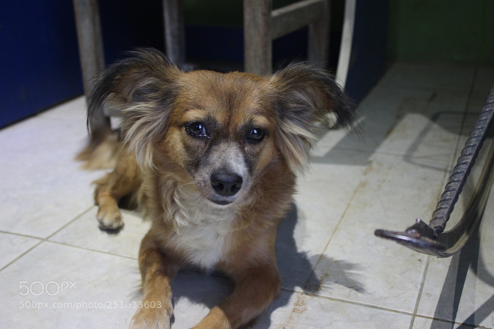 Canon EOS 600D (Rebel EOS T3i / EOS Kiss X5) sample photo. En casa photography