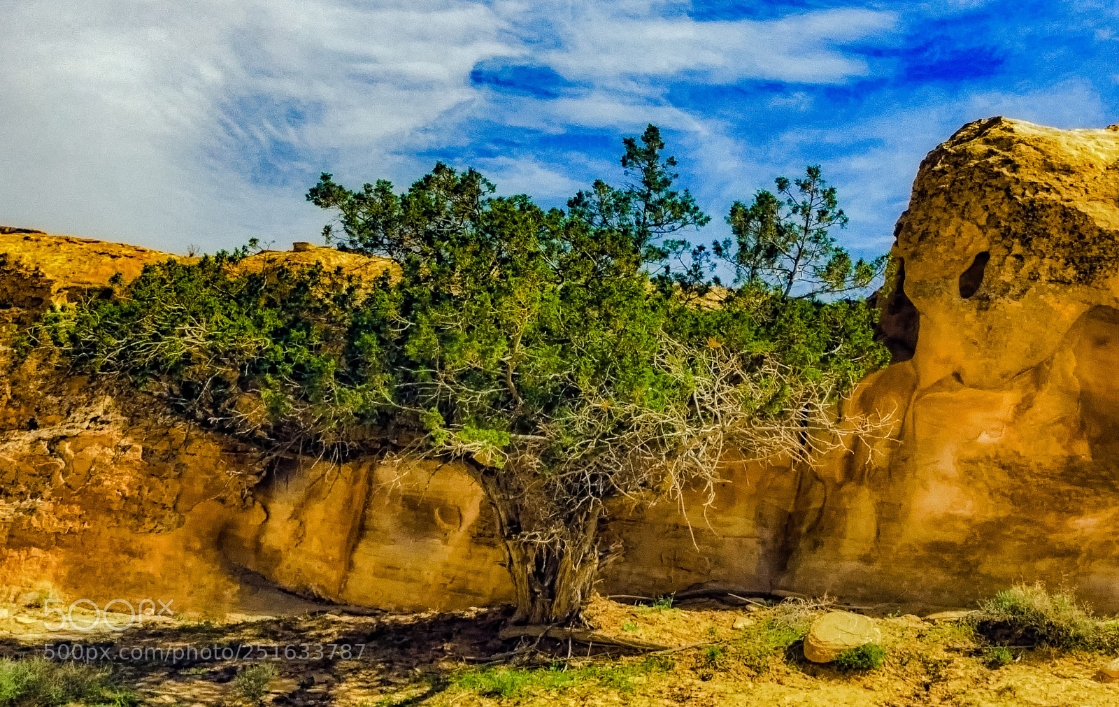 Nikon D7000 sample photo. Paradise found!! photography