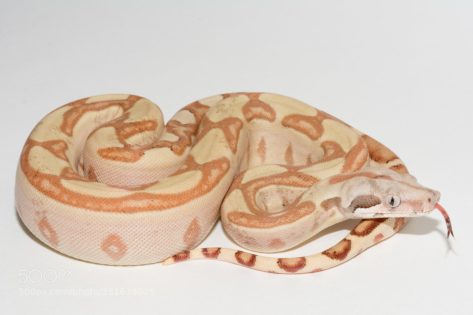 Nikon D7100 sample photo. Labyrinth photography