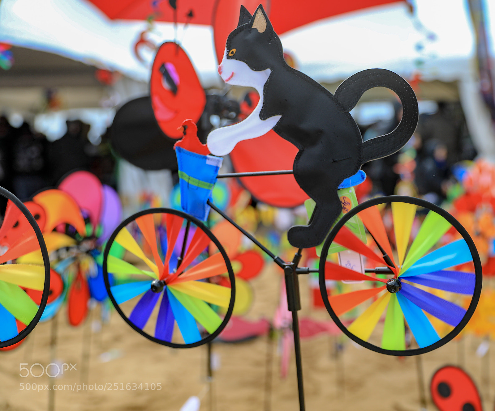 Canon EOS 5D Mark IV sample photo. Festival du cerf-volant de photography