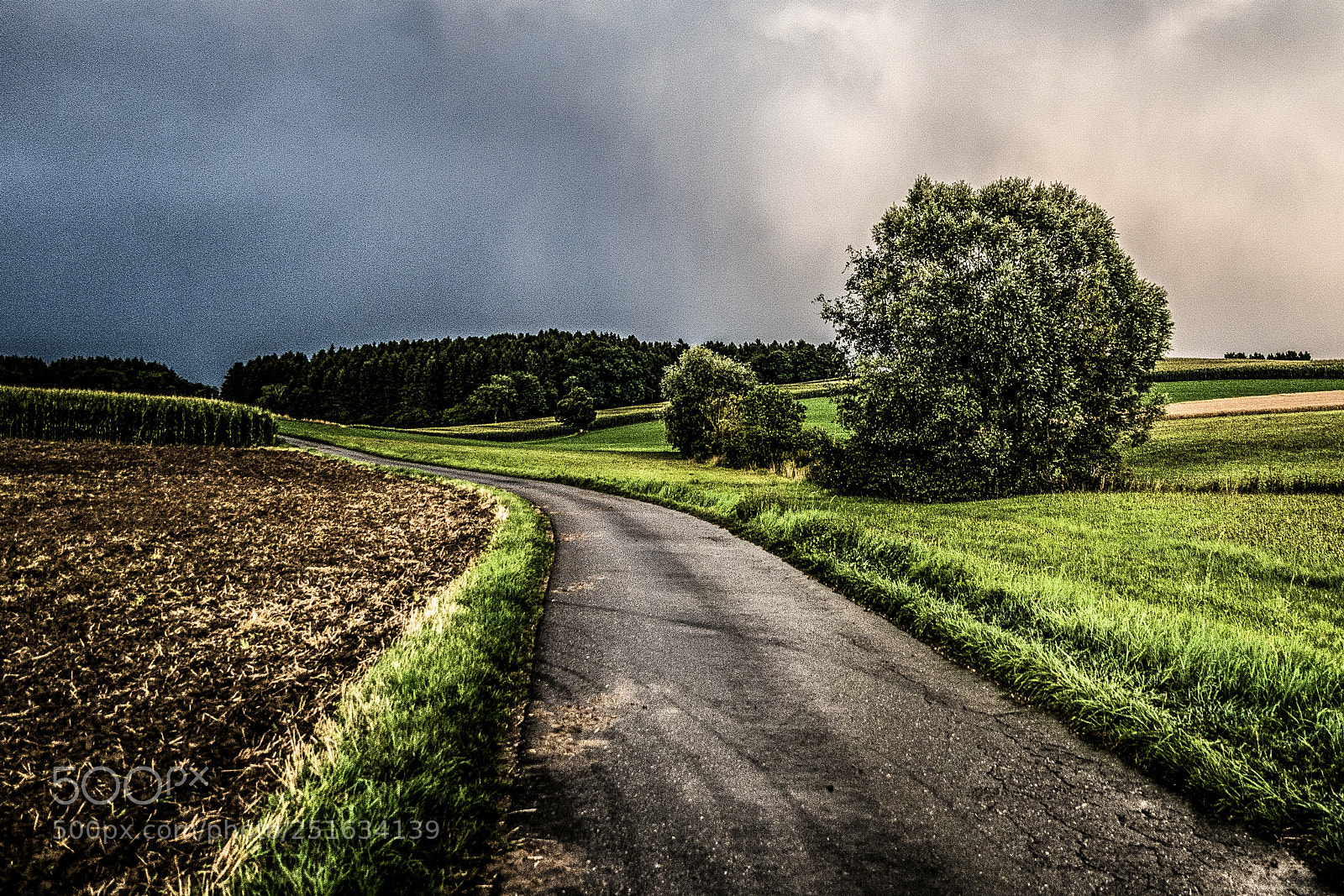Panasonic DMC-G70 sample photo. After the thunderstorm photography