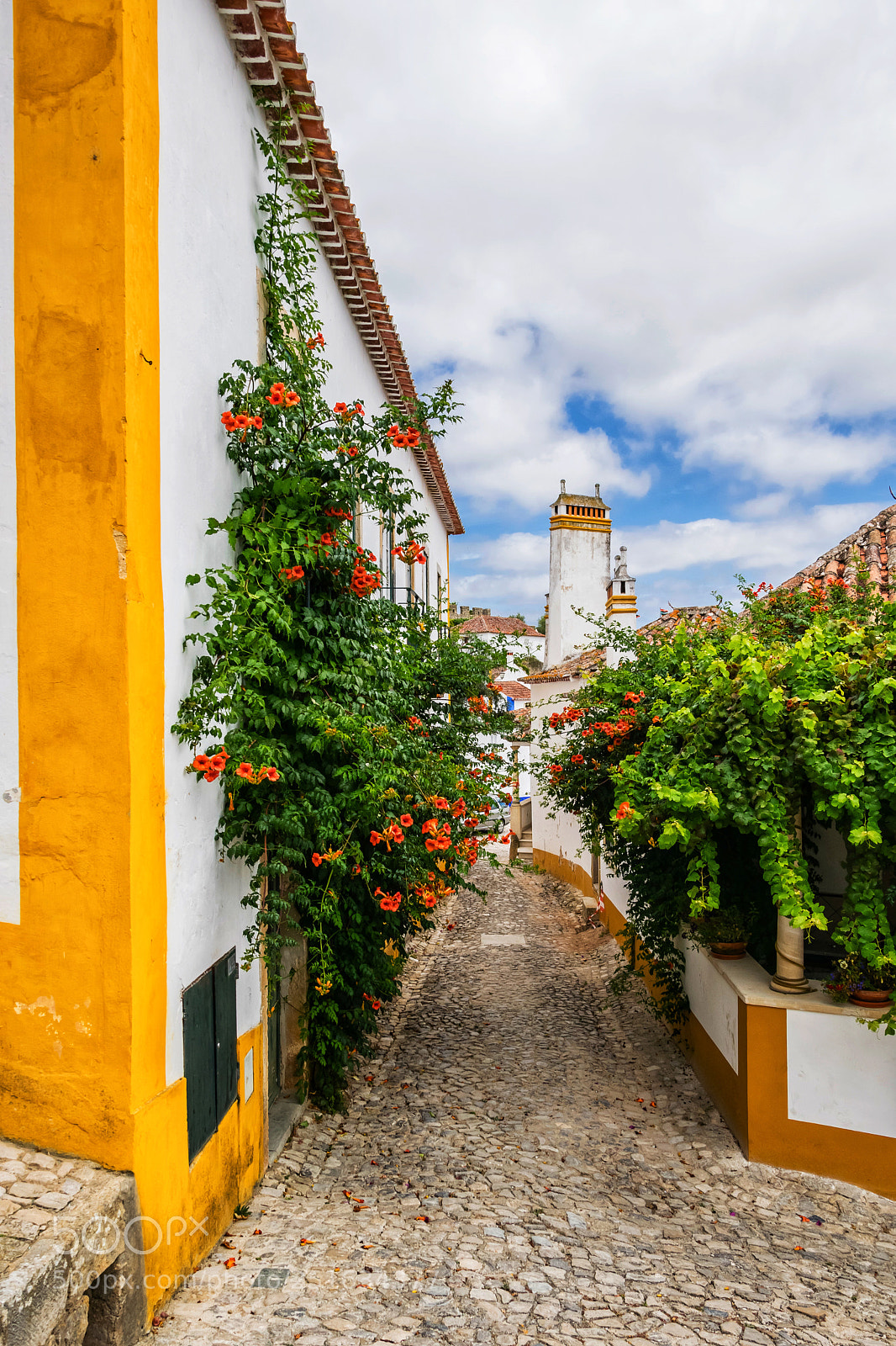 Nikon D3300 sample photo. Beautiful street, Óbidos photography