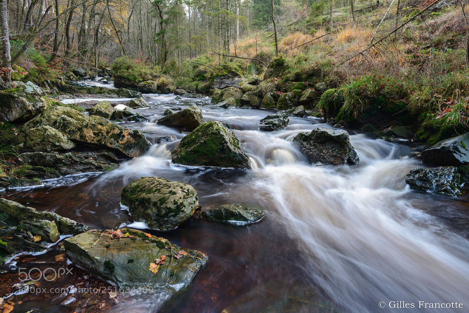 Nikon D800 sample photo. Hoëgne river photography