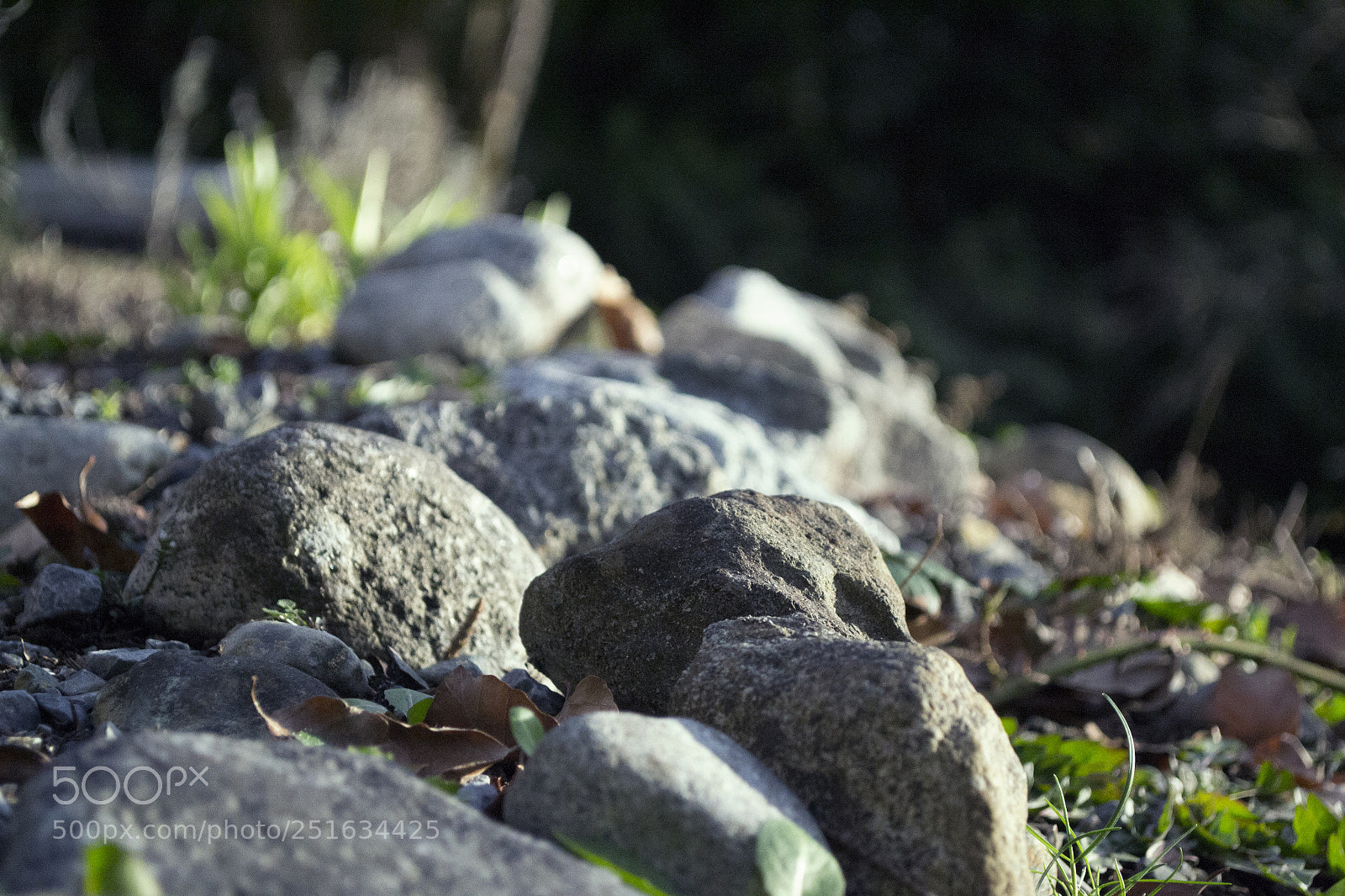 Nikon D3100 sample photo. Backyard rocks photography