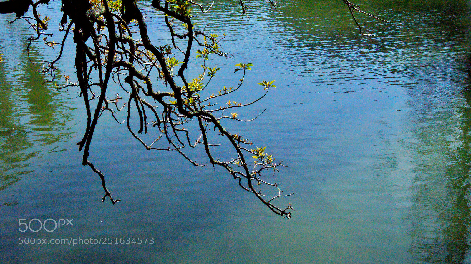 Sony Alpha DSLR-A390 sample photo. By the water photography