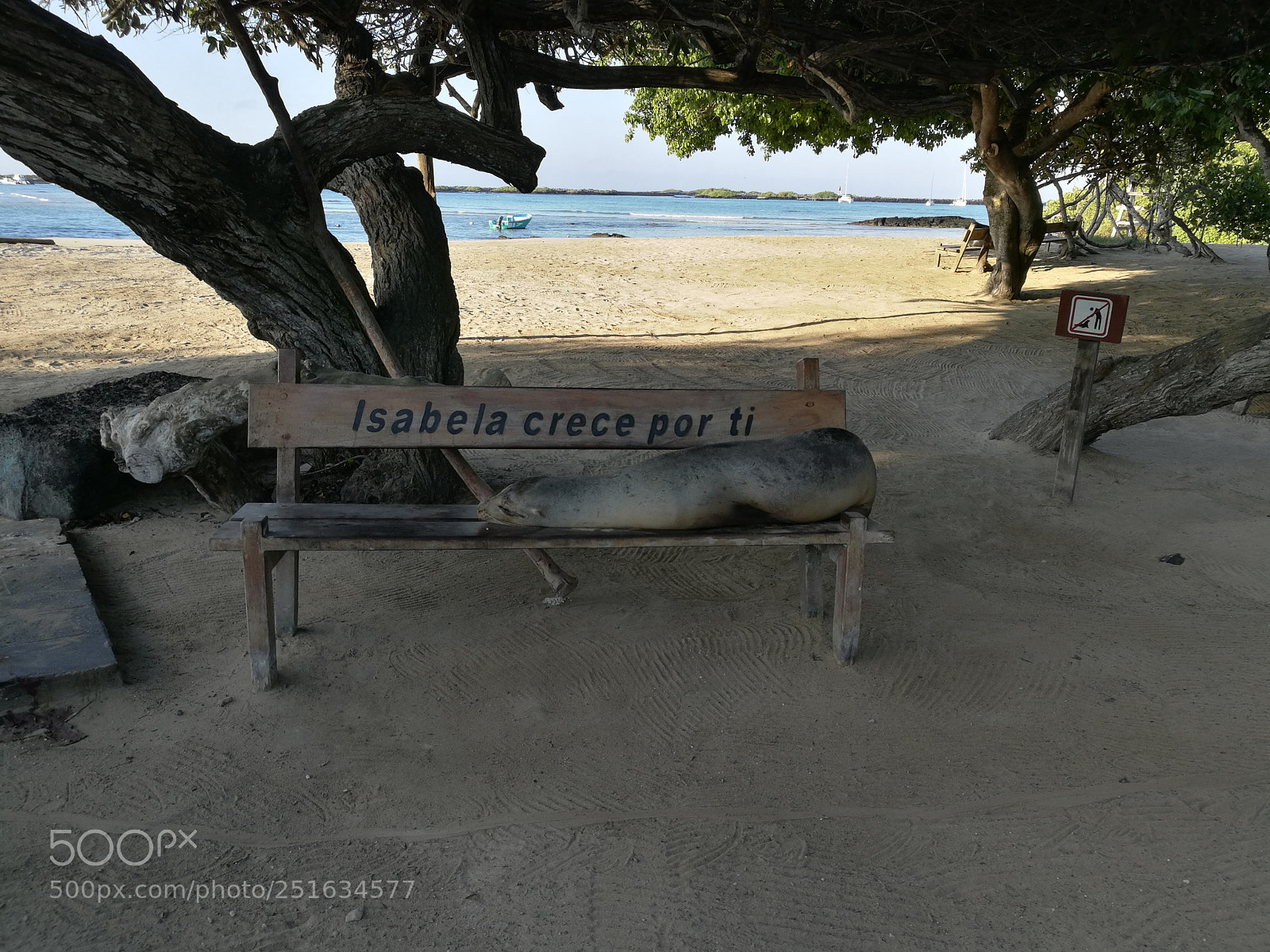 HUAWEI Honor 8 sample photo. Bienvenidos photography