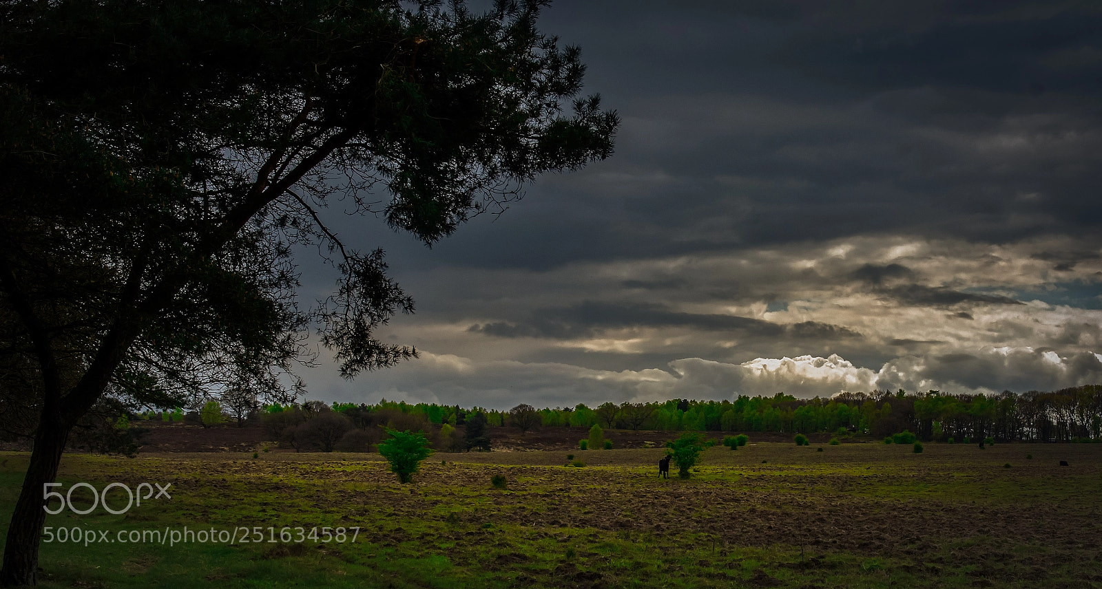 Nikon D7100 sample photo. Evening falls photography