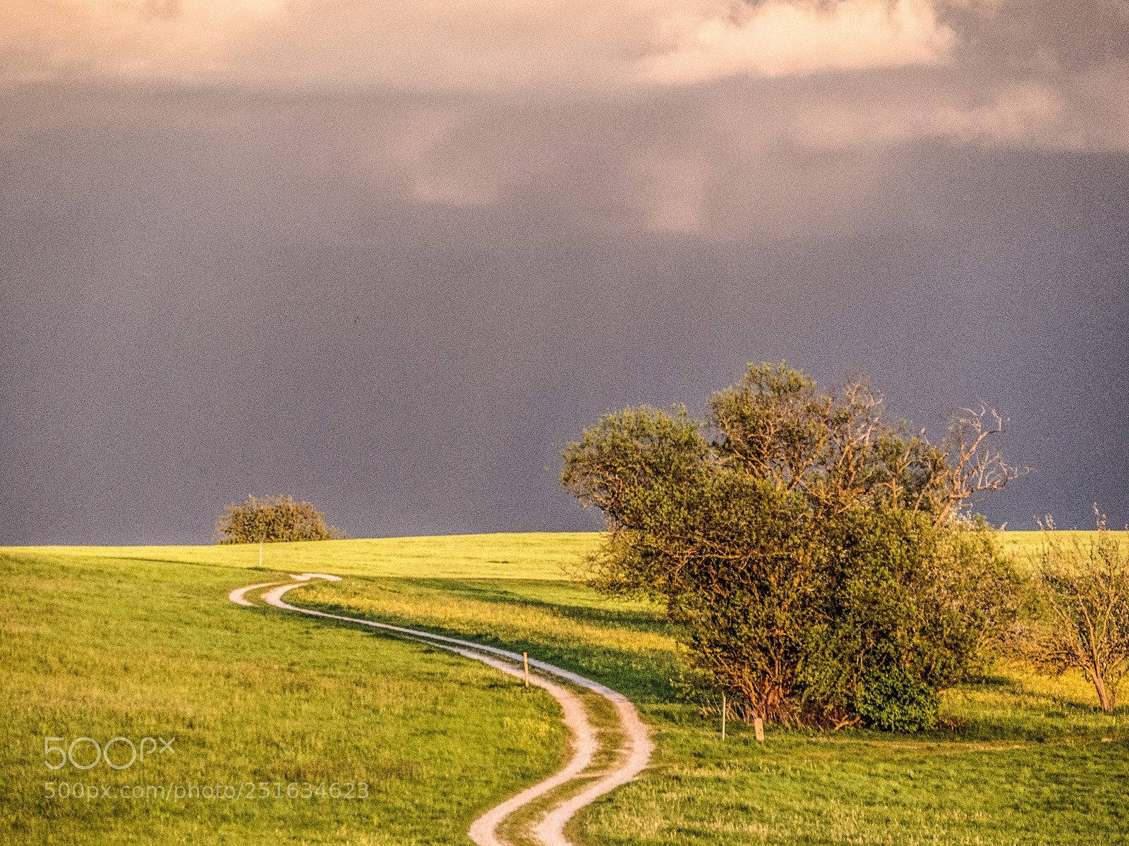 Panasonic DMC-G70 sample photo. Thunderstorm is coming photography