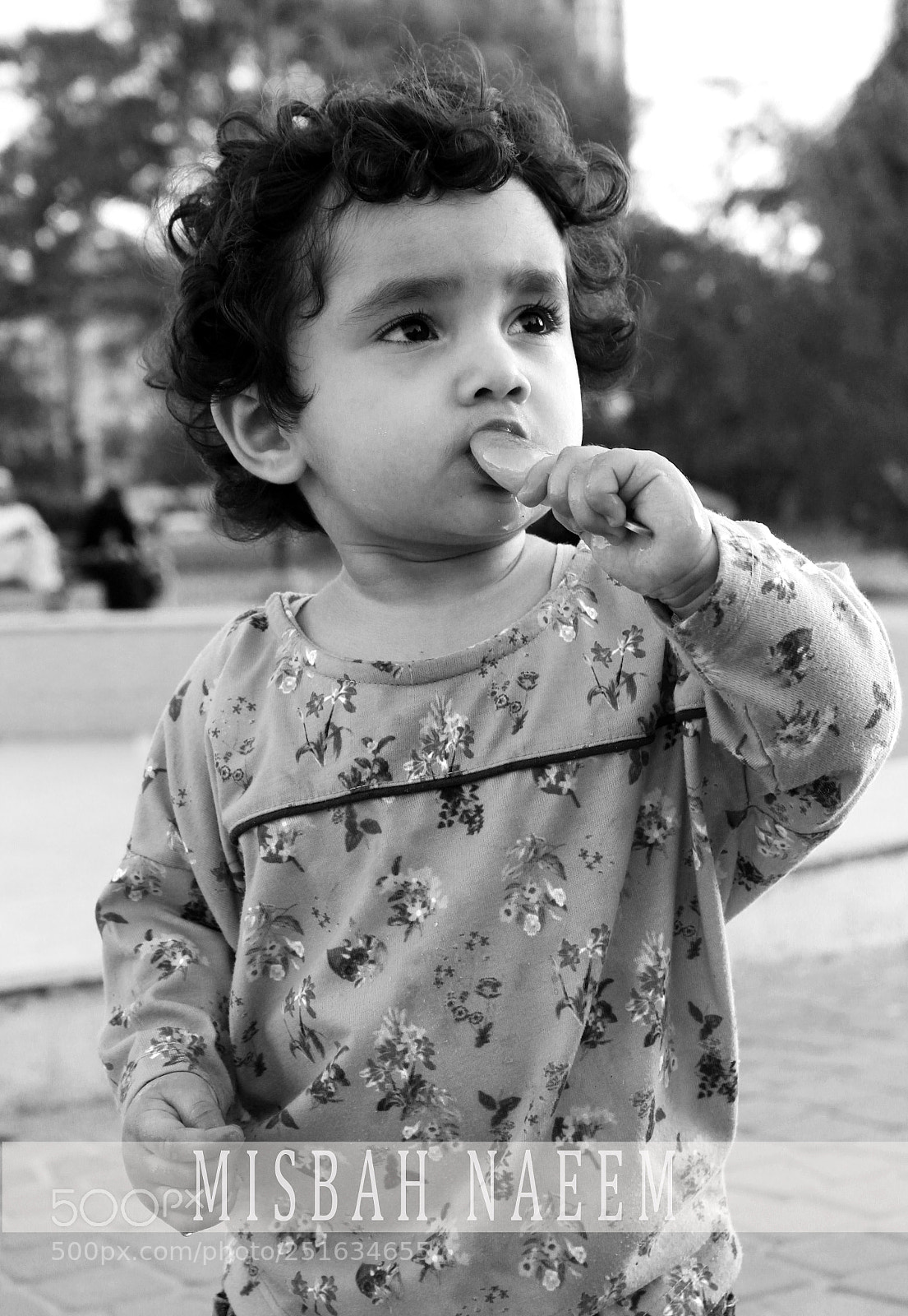 Canon EOS 700D (EOS Rebel T5i / EOS Kiss X7i) sample photo. Img photography