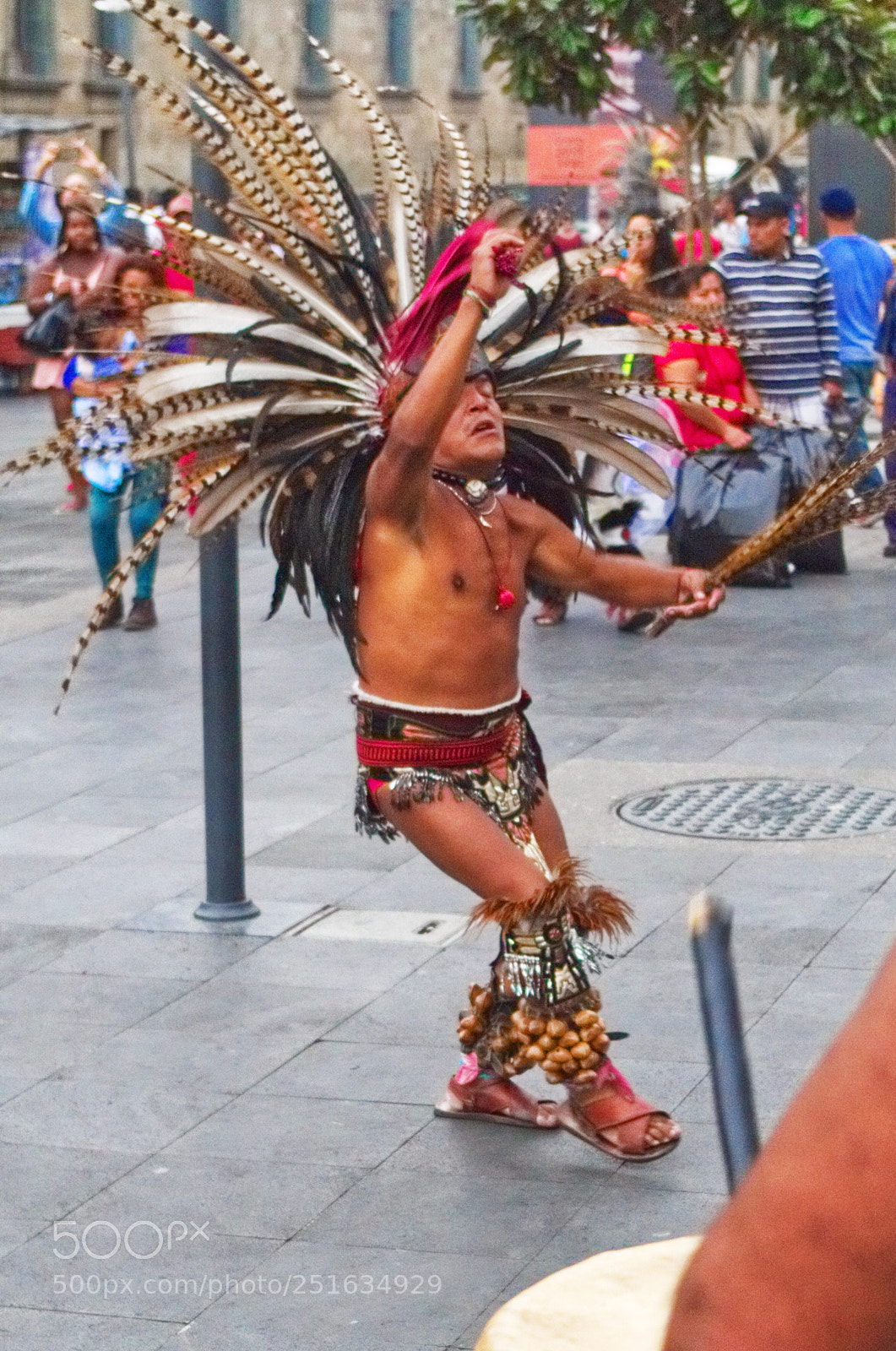 Pentax K-50 sample photo. Warrior_cdmx photography