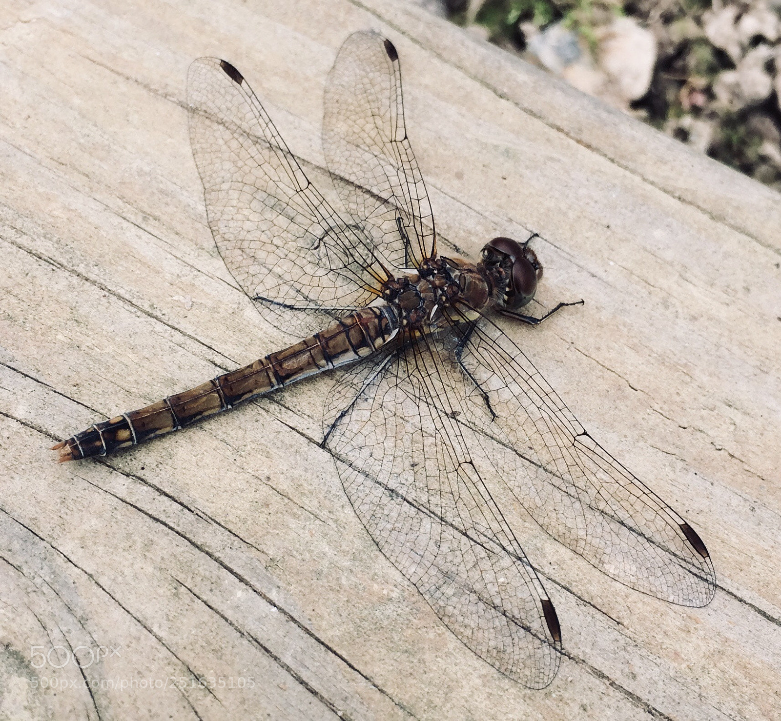 Apple iPhone 5s sample photo. Untitled photography
