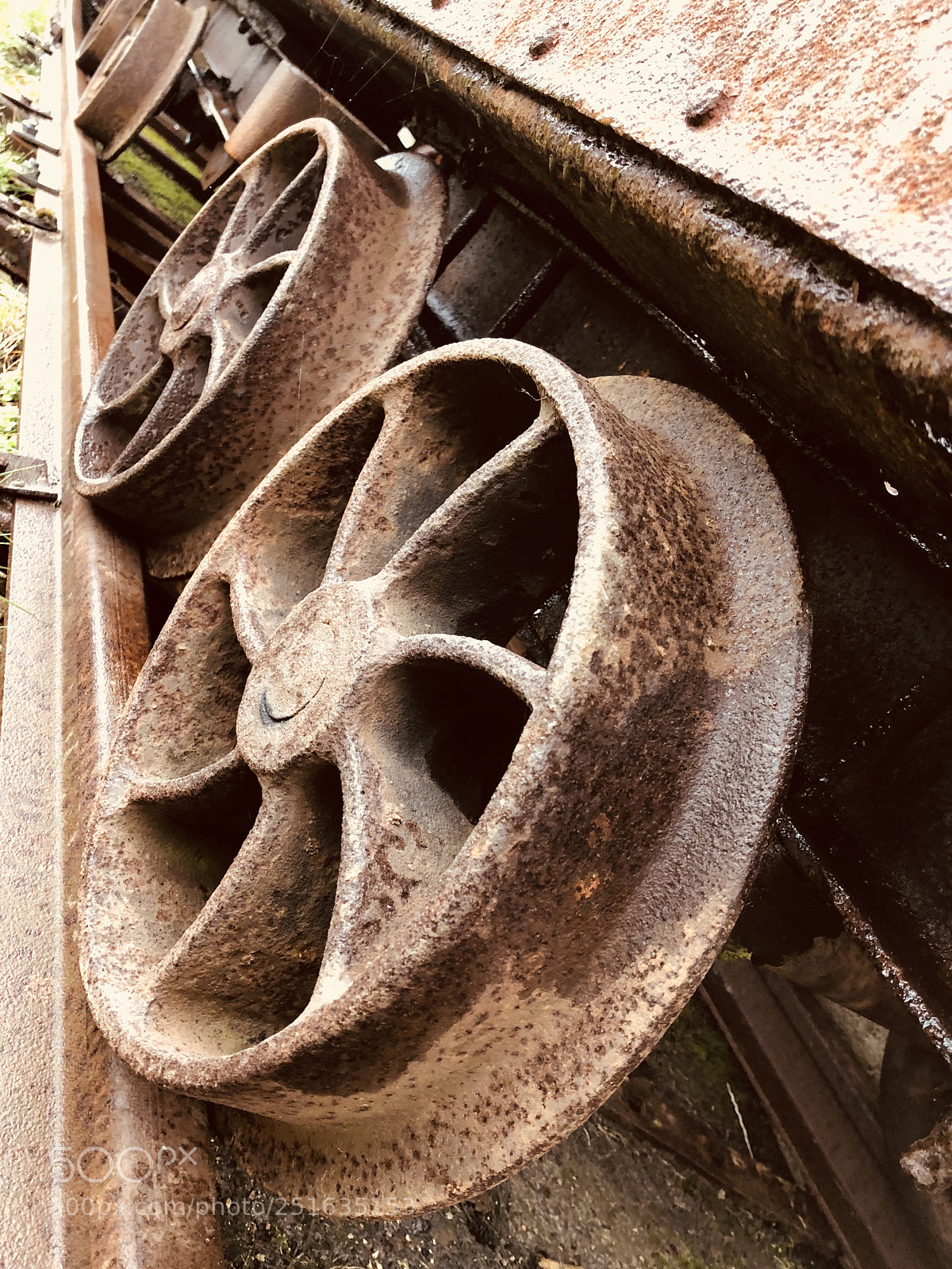 Apple iPhone 8 sample photo. Untitled photography
