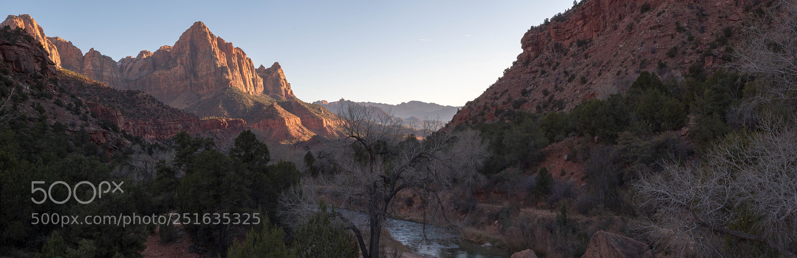 Nikon D500 sample photo. Zion at sunset photography