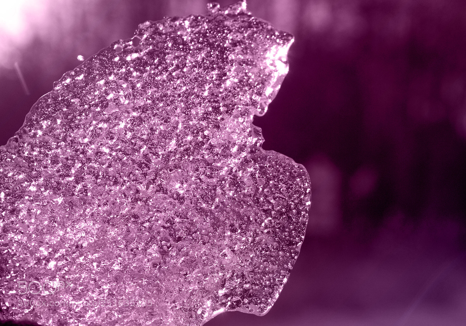 Canon EOS 7D sample photo. Ice crystals photography