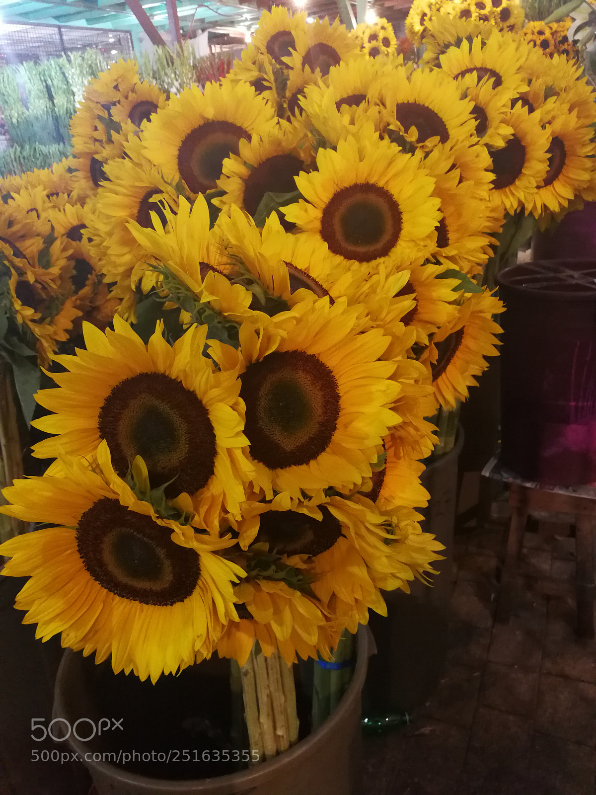 HUAWEI Mate 9 sample photo. Untitled photography