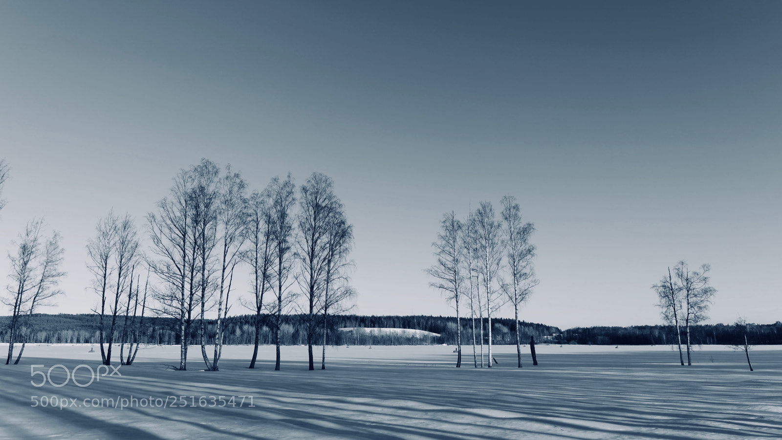 Nikon D3300 sample photo. The shadows photography