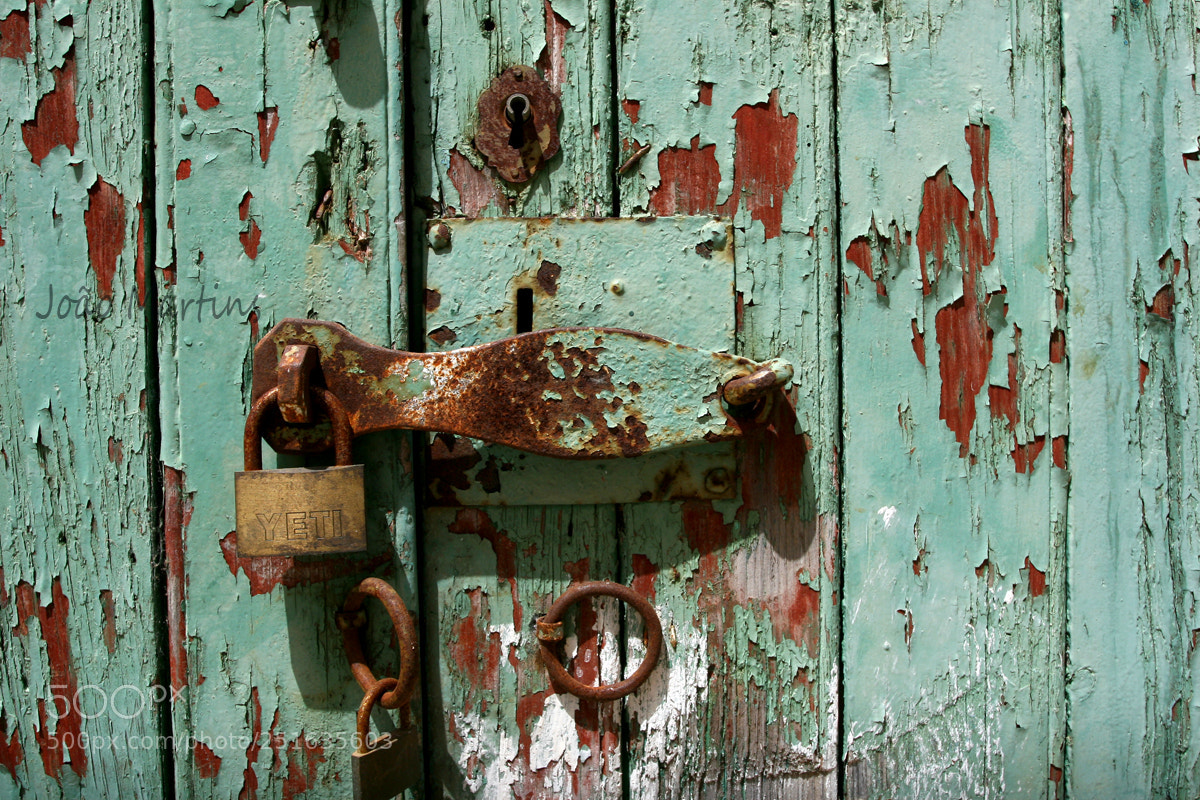 Canon EOS 30D sample photo. Old door photography