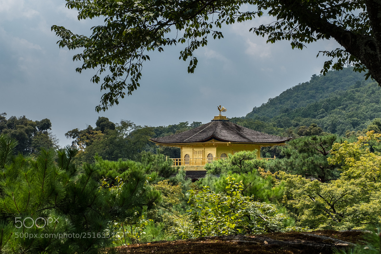 Fujifilm X-Pro2 sample photo. Kinkakuji photography
