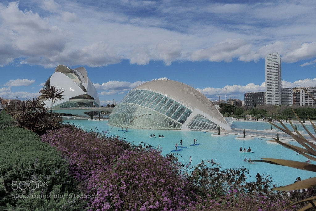 Olympus OM-D E-M1 Mark II sample photo. Ciudad de las artes photography