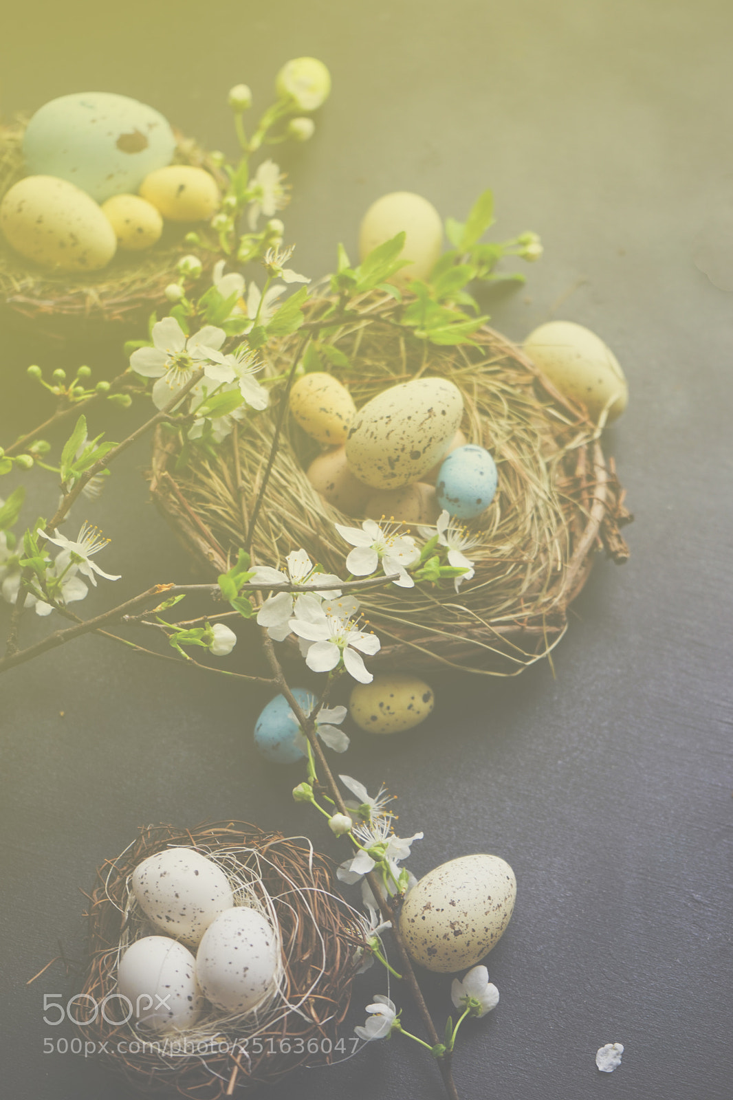 Sony a7 sample photo. Easter holiday card photography