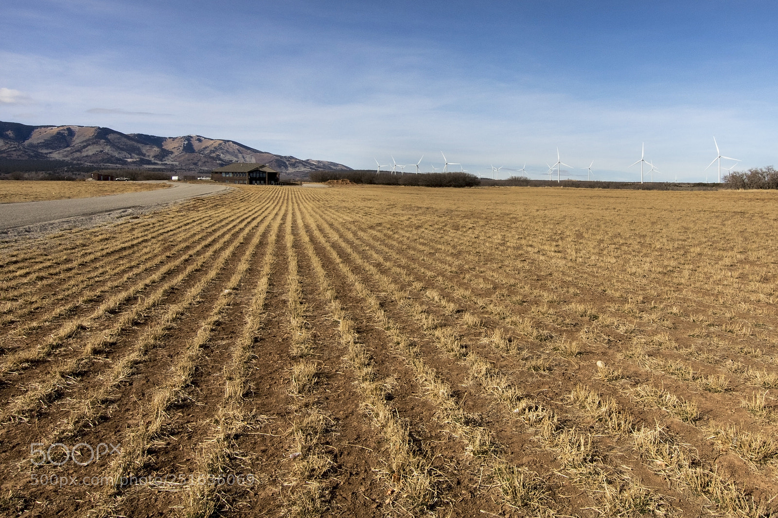 Canon EOS 80D sample photo. Farm land and wind photography