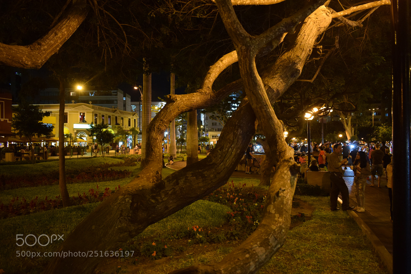 Nikon D3300 sample photo. Parque nocturno photography