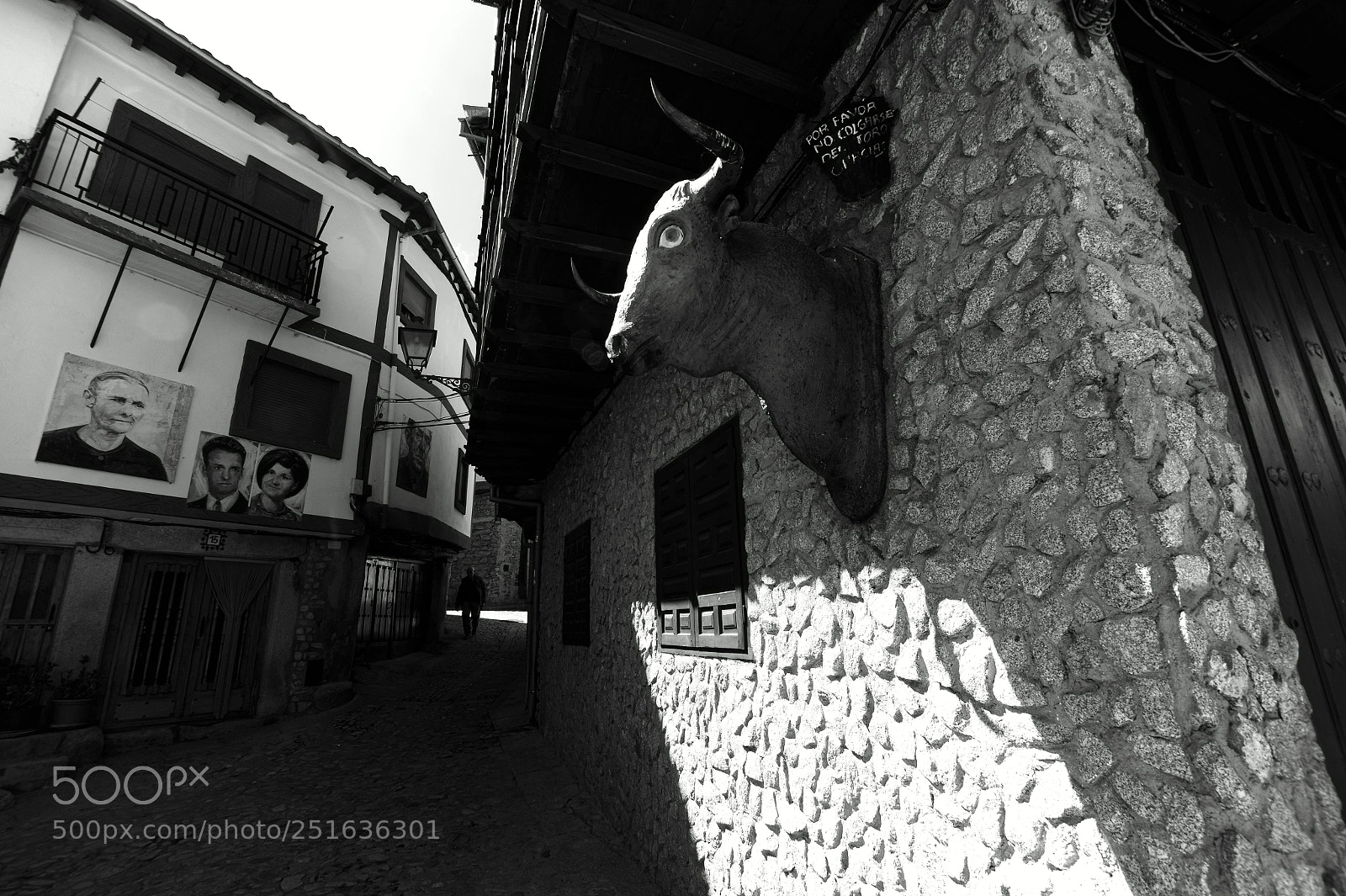 Sony SLT-A58 sample photo. Bull. photography