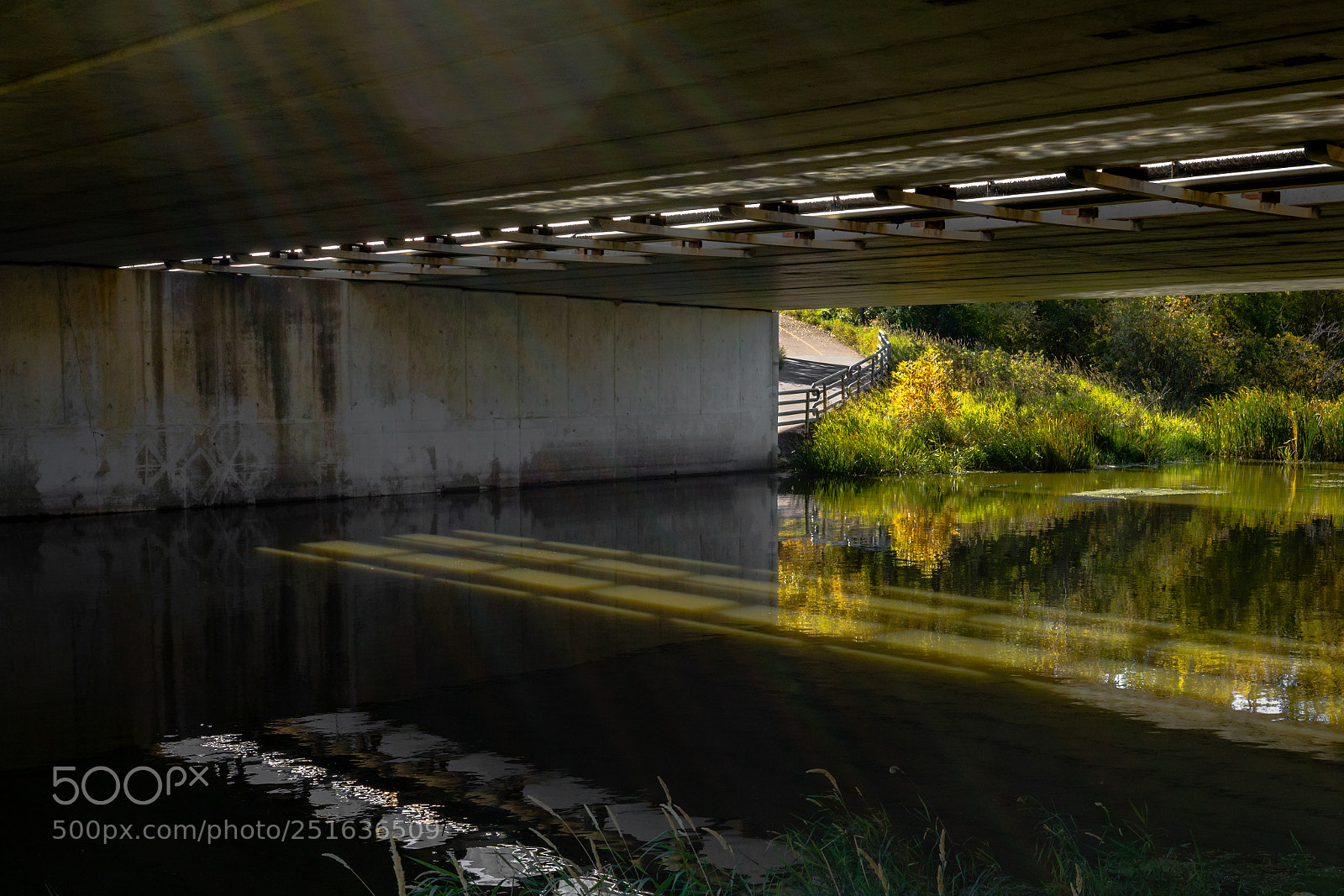 Canon EOS 5D Mark IV sample photo. The underneath photography