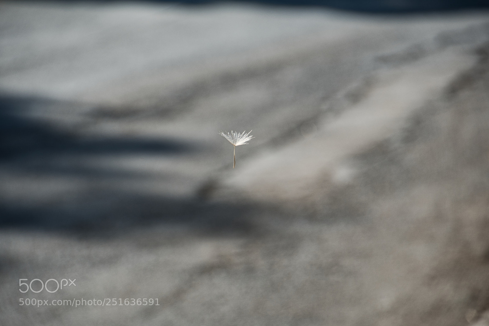 Nikon D500 sample photo. Preparing to land photography