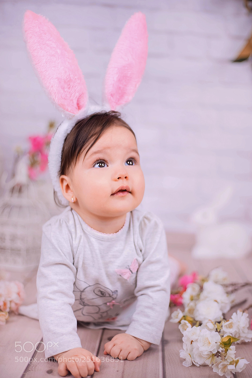 Canon EOS 5DS sample photo. Ester rabbit photography