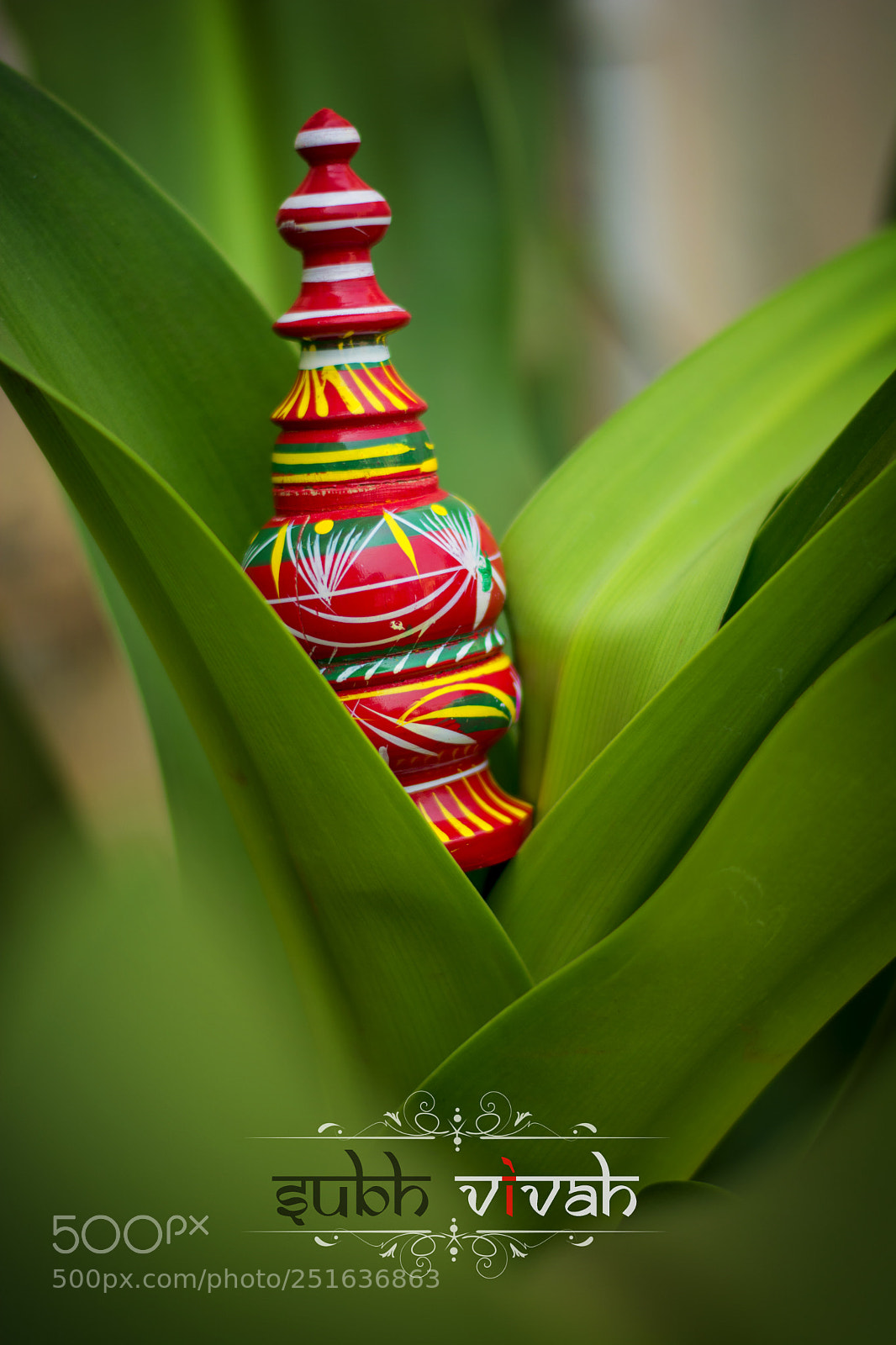 Nikon D5200 sample photo. Cd () photography