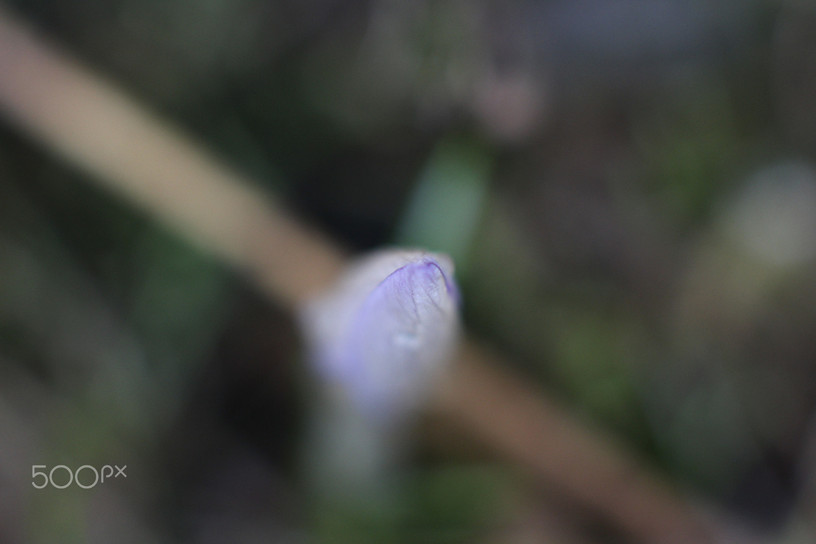 Canon EOS 700D (EOS Rebel T5i / EOS Kiss X7i) + Canon EF 50mm F1.4 USM sample photo. 20180331_spaziergang harz photography