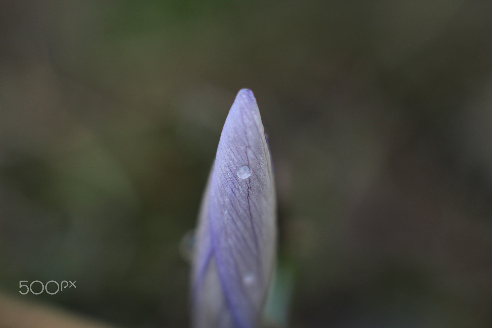 Canon EOS 700D (EOS Rebel T5i / EOS Kiss X7i) + Canon EF 50mm F1.4 USM sample photo. 20180331_spaziergang harz photography
